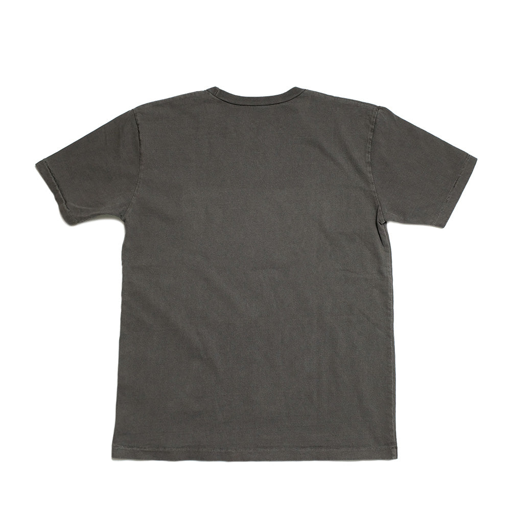 Mixta - CREW NECK PRINT T-shirt - MIXTIGER-25 - MXT1010010