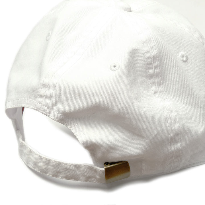 South2 West8 - STRAP BACK CAP - HYDROLOGIC CYCLE SYSTEM - SX614